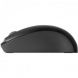 Microsoft 900 Wireless Mouse