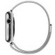 Apple Watch Series 2 42mm Stainless Steel Case Milanese Loop