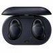 Samsung Gear IconX 2018