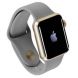 Apple Watch Series 1 38mm Gold Aluminum Case with Concrete Sport Band