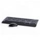 Microsoft Desktop 3000 Wireless Keyboard and Mouse