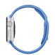 Apple Watch Silver Case With Royal Blue Sport Band 42mm