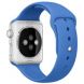 Apple Watch Silver Case With Royal Blue Sport Band 42mm