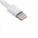 Apple Lightning to USB Cable 1M