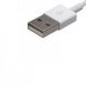 Apple Lightning to USB Cable 1M